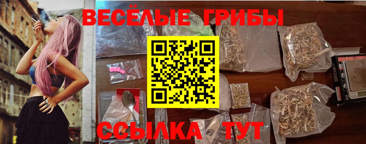Псилоцибиновые грибы MAGIC MUSHROOMS Заволжье