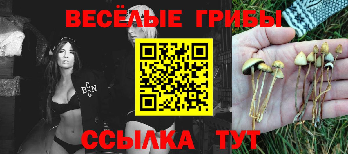 Галлюциногенные грибы прущие грибы  Галлюциногенные грибы Cubensis  купить закладку  Вход с VPN  Заволжье 